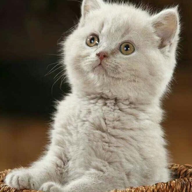 蓝天绿色环保🌷😊