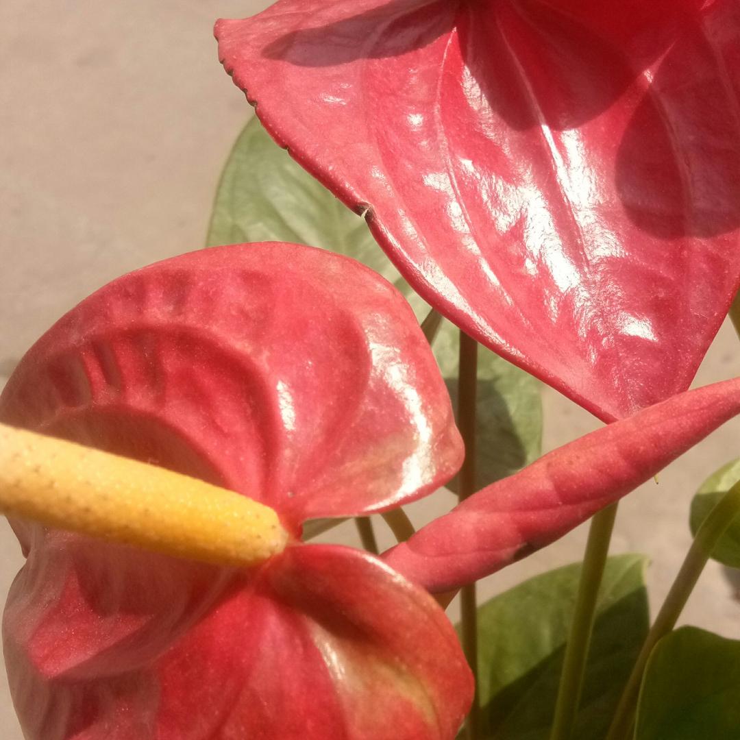 一切随缘_18371