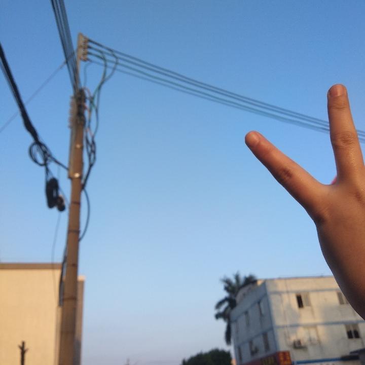 布拉