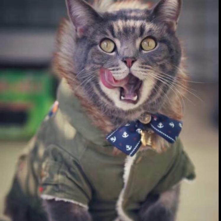 唔中意冲梁先生