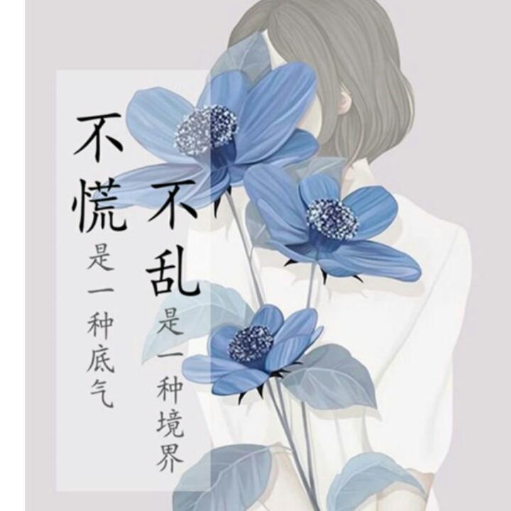 宝家美优选店