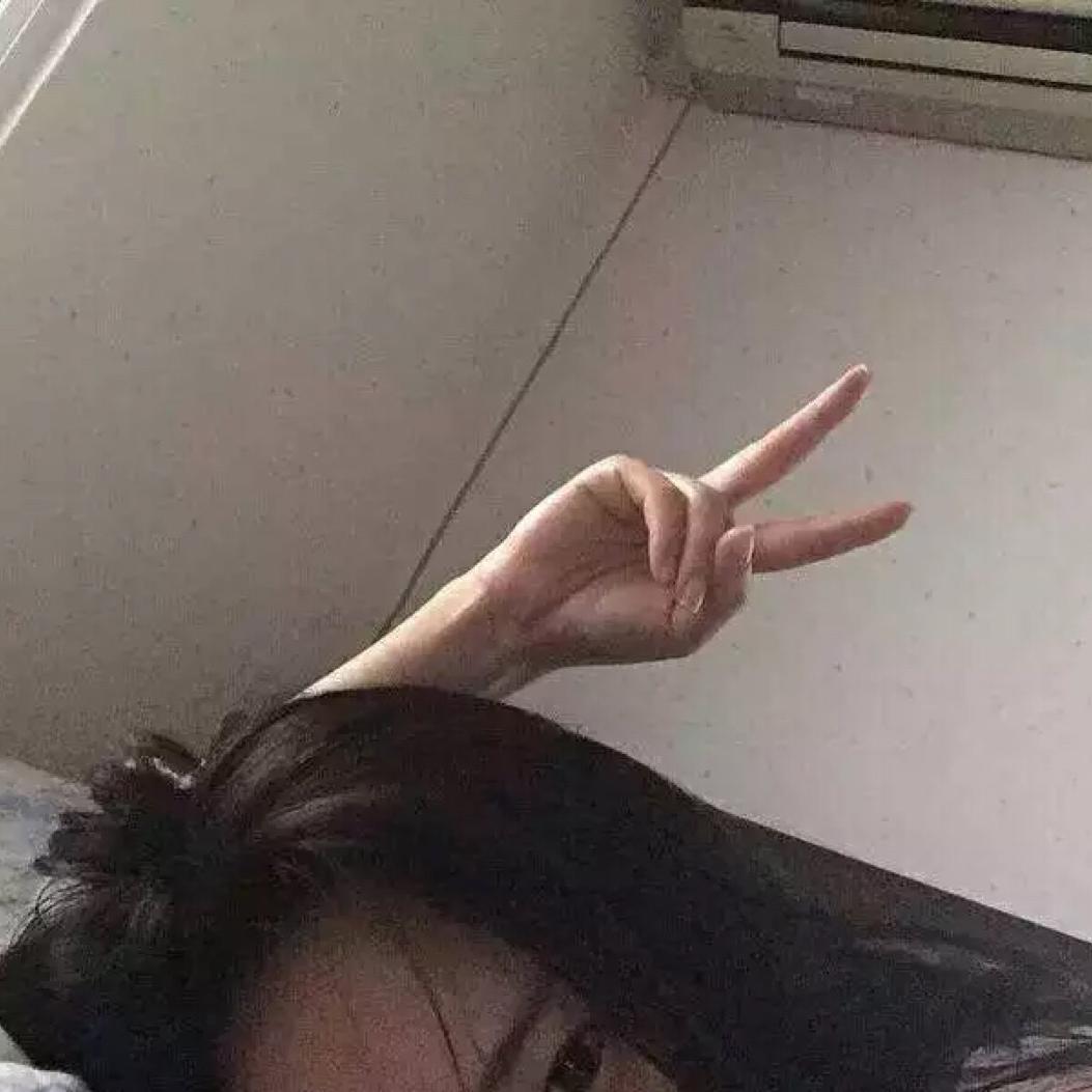 琴