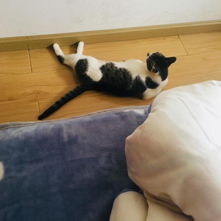 贱贱怎么那么黏🥕