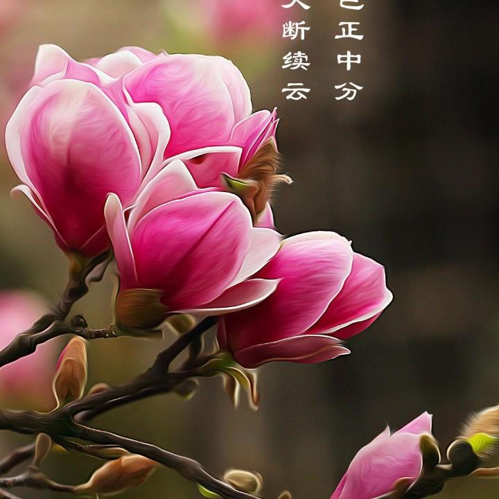 疑仙（互）