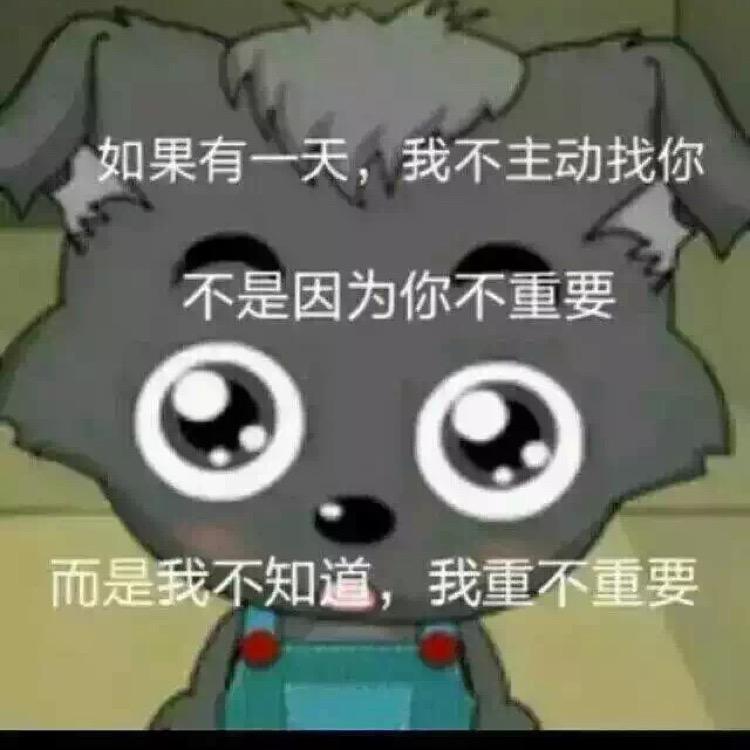 城市钉
