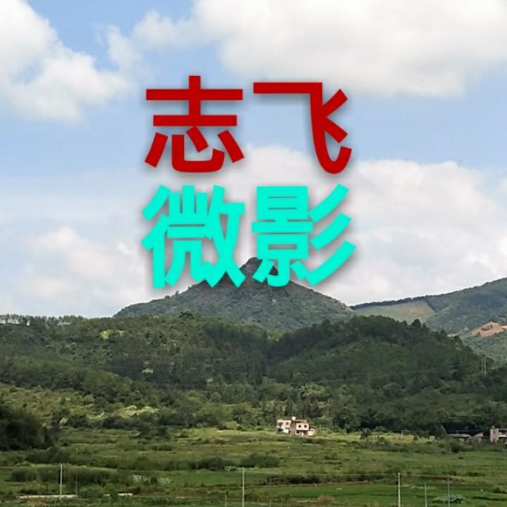 志飞微影