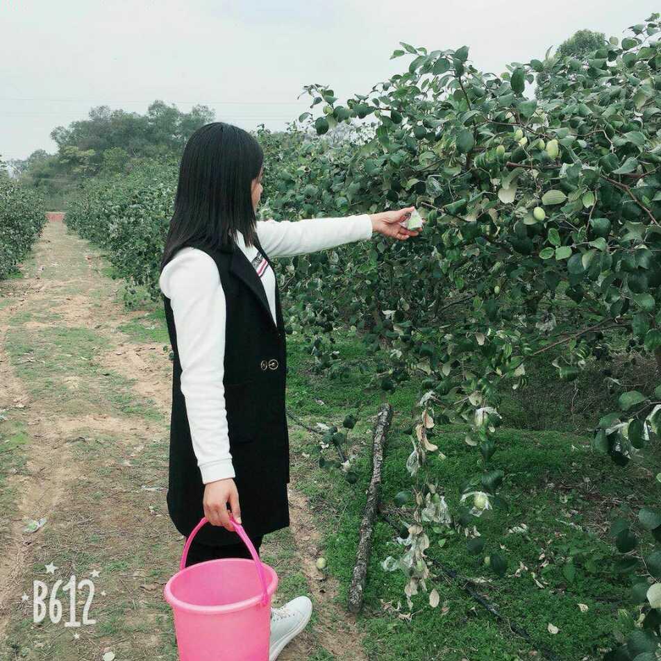 潘双丽888