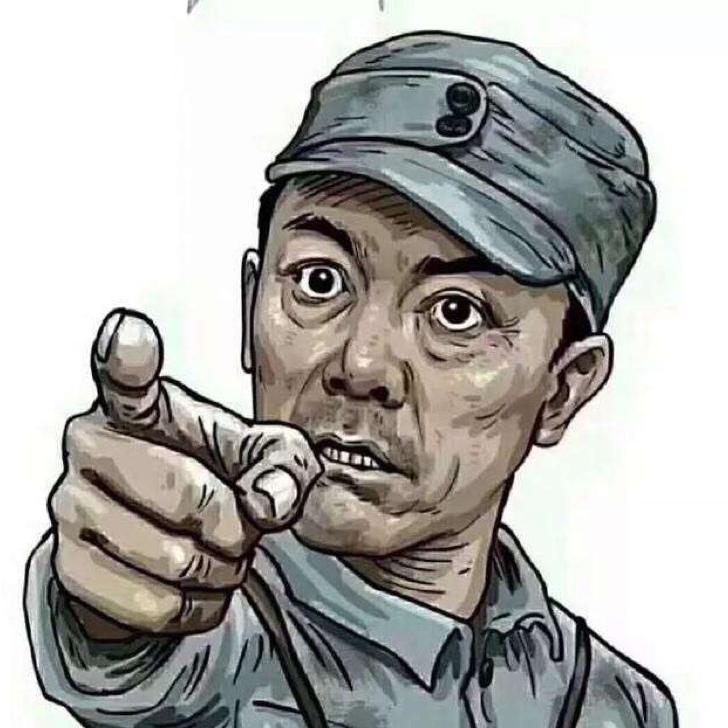 会飞的🐷