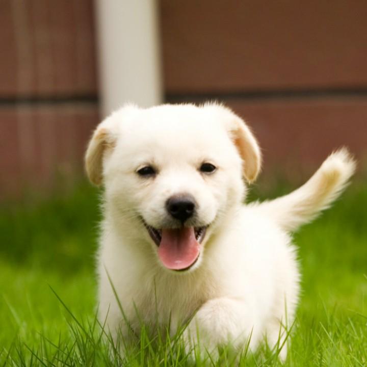 两个儿子的妈妈