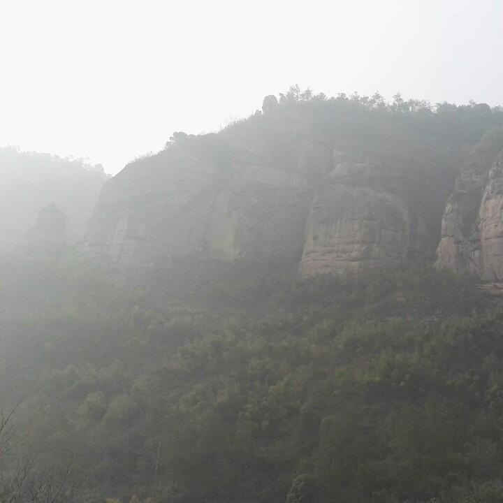 乐乐虎