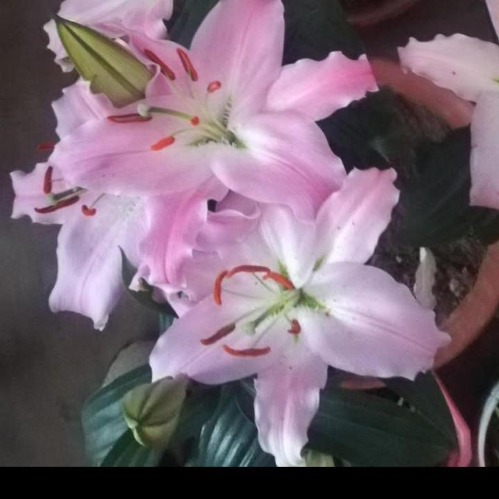 漫天繁星