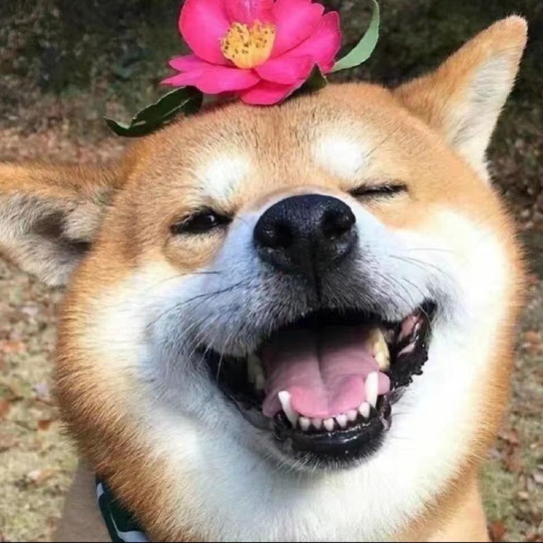 麦子呀