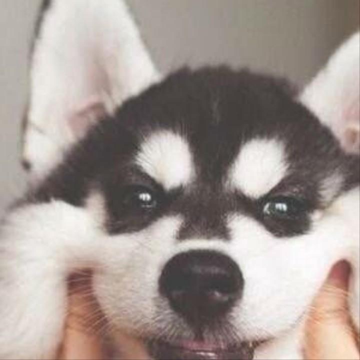 今卒闻得来生悦💪