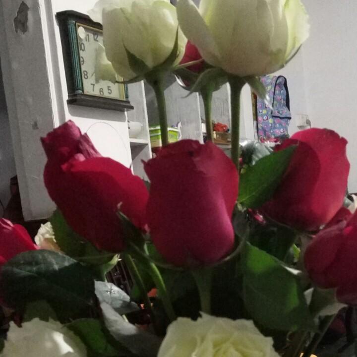 悦悦可乐