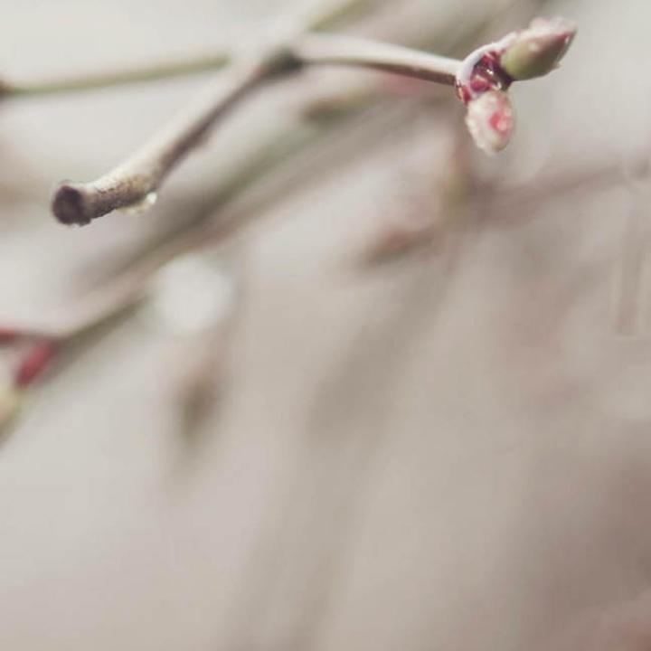 卟漓“勿连赞”