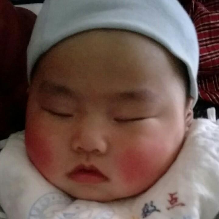 晏偌鑫宸