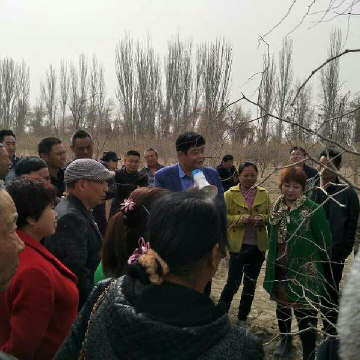 枣专家