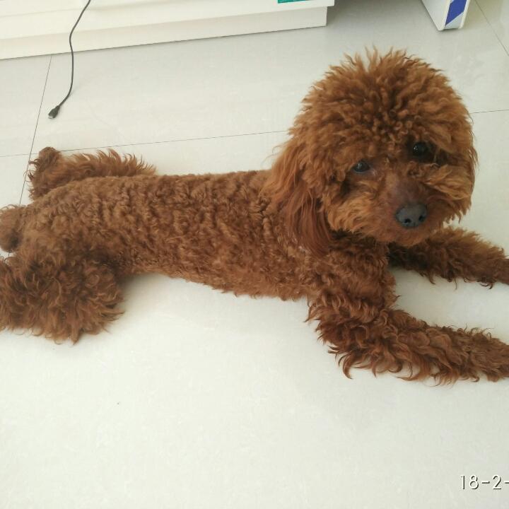 蛮蛋的幸福生活
