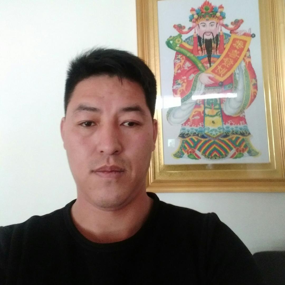 飞过海的狼