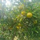 自由飞翔舞动人生