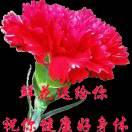 珍惜55375169