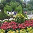 开心每一天93693