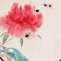 AAA小盆友