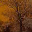 火车路上跑飞机