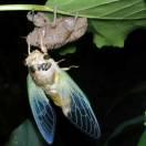 情之伤爱之痛509