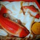 奔驰的骏马98586