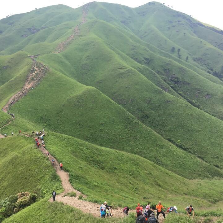 凌风渡越