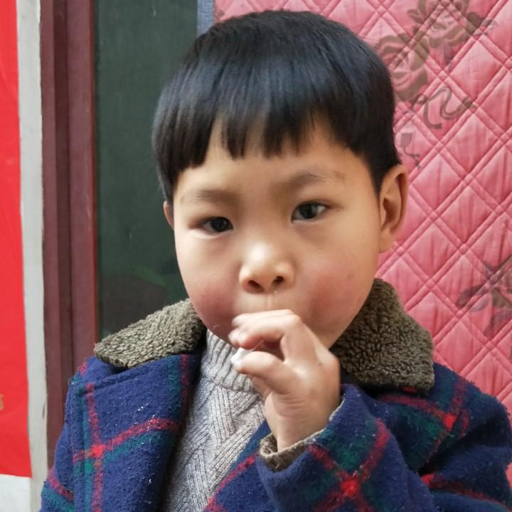 流氓兔