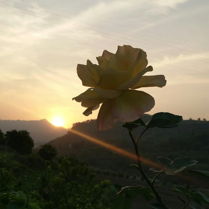 卟懂我悲伤