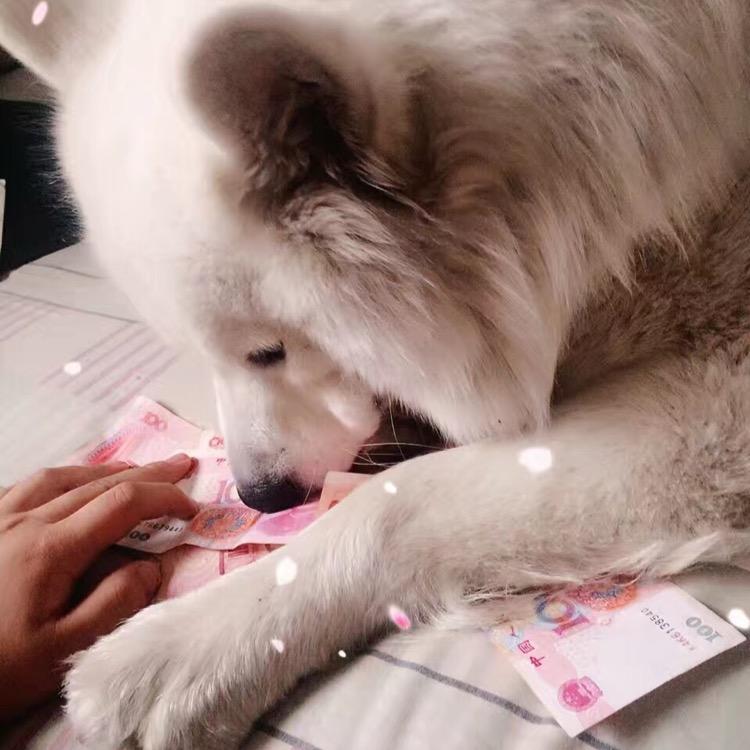 朱大飞