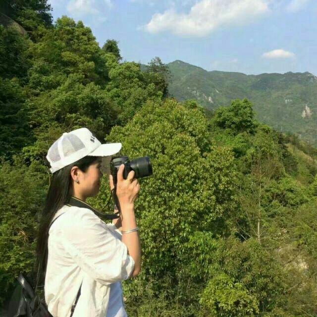 王慧情