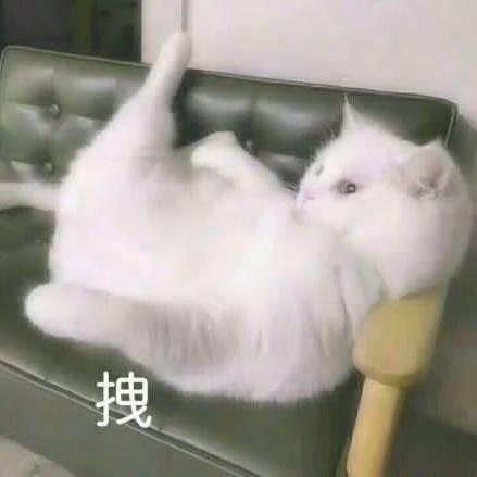 失笑断弦