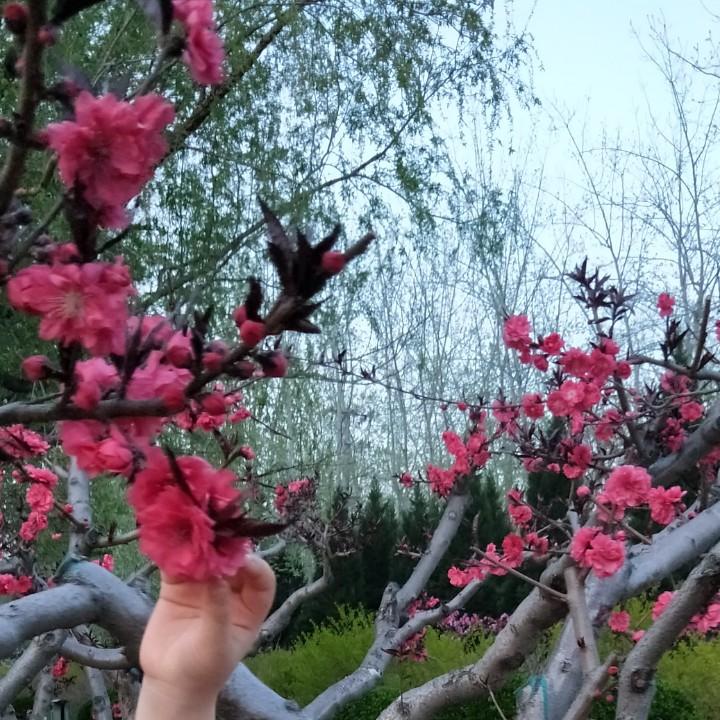 海浪海浪