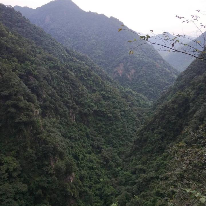 故里安