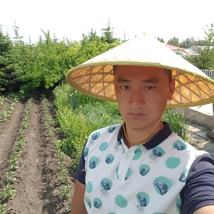 ゃ孫、某某ゞ