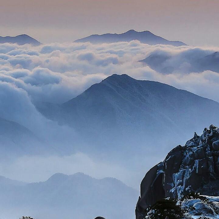 桃花源里好种茶