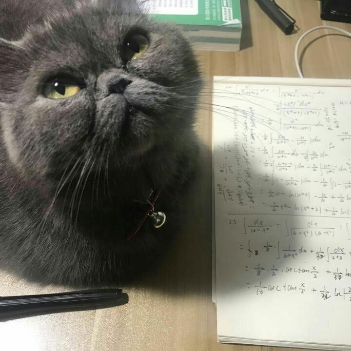加菲呀