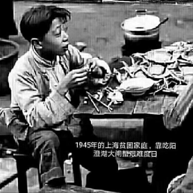 臭屁虫