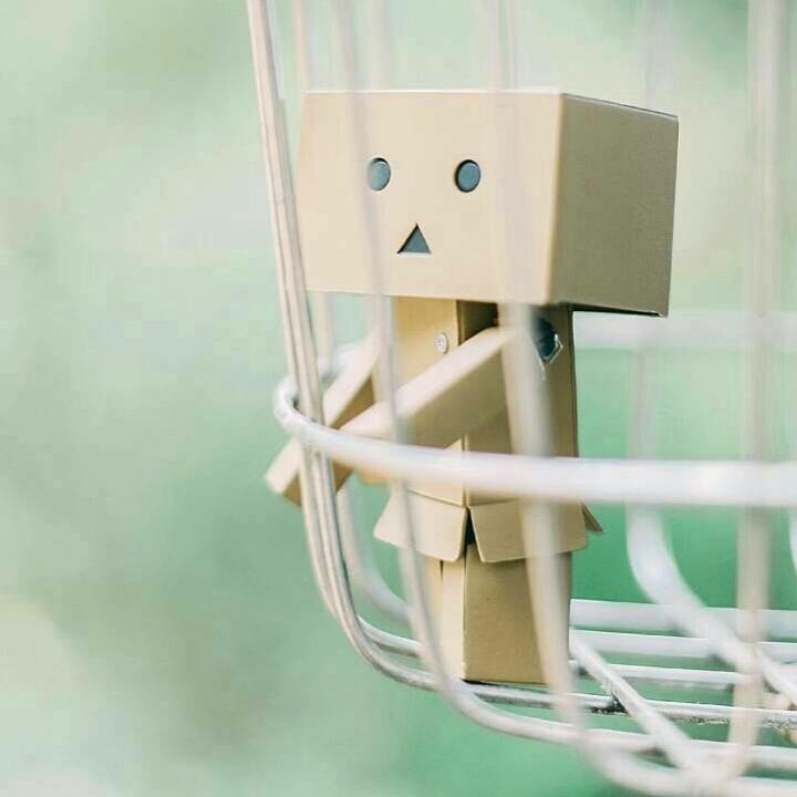 李💕