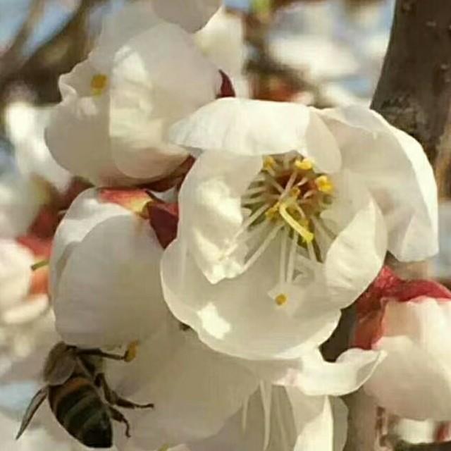 沙漠