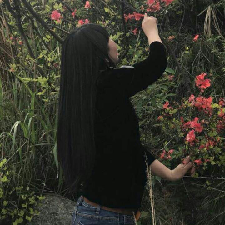 琴舞飞扬