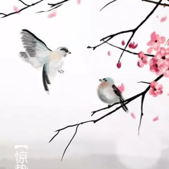 一朵幽莲