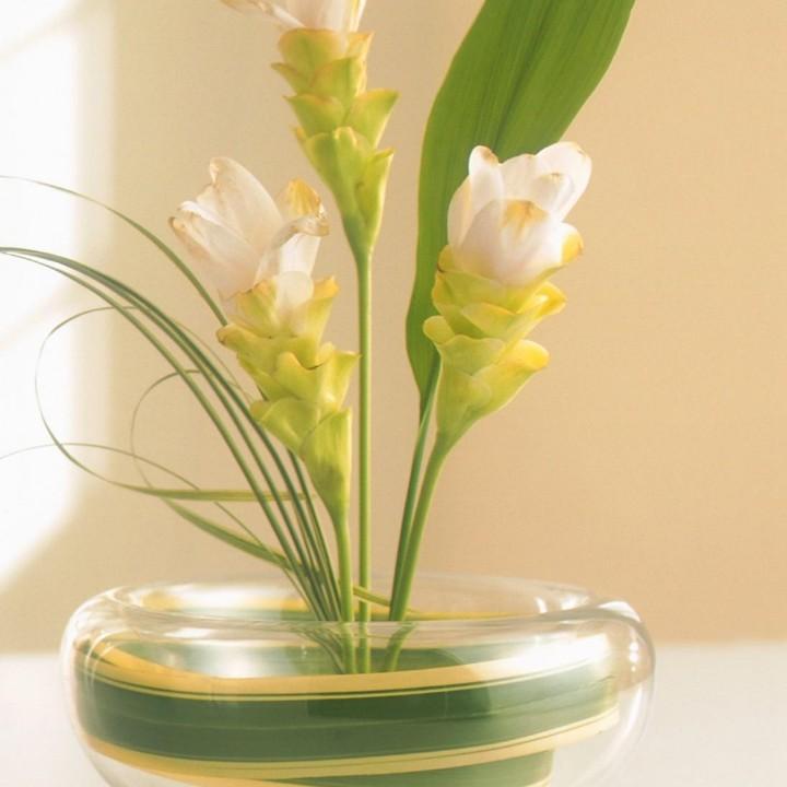 炫彩造型（玲玲）