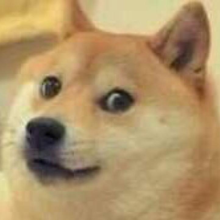 炸狗王