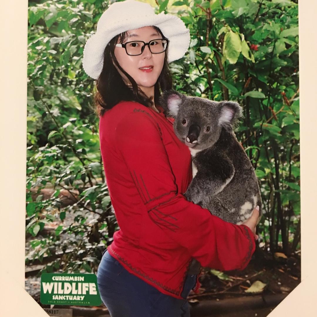 进击的考拉🐨