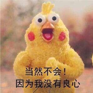 周文静